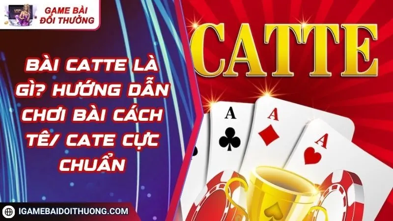 Bài Catte Là Gì? Hướng dẫn Chơi Bài Cách Tê/ Cate Cực Chuẩn