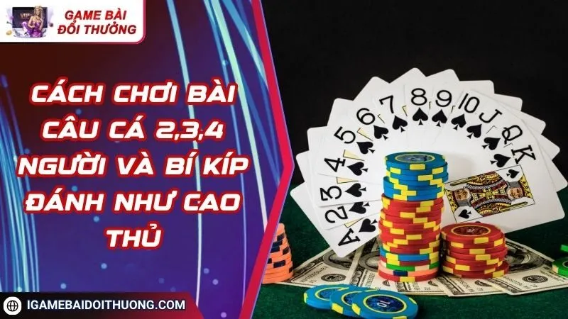 Cách chơi bài câu cá 2,3,4 người và bí kíp đánh như cao thủ